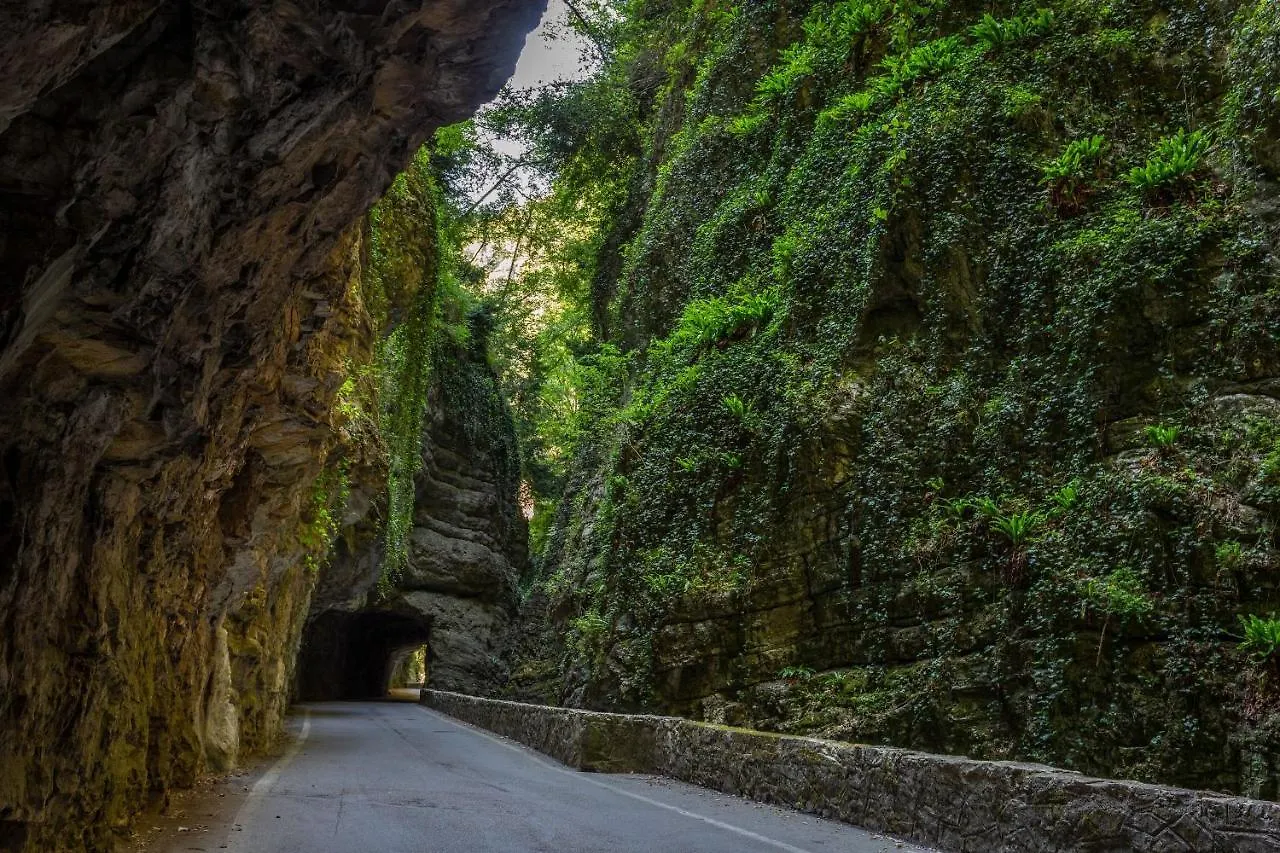 Liver 203 Tremosine Italia